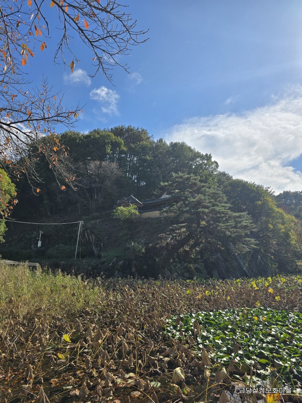 3.가을빛으로 물든 예천 병암정